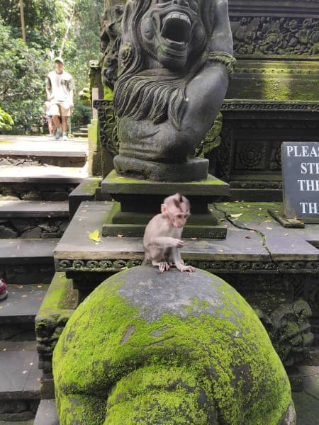 Private Tour: Ubud Highlights | ®ExcursionMania