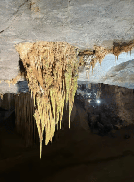 Phong Nha/Dong Hoi: Phong Nha Cave and Paradise Cave Tour | ®ExcursionMania