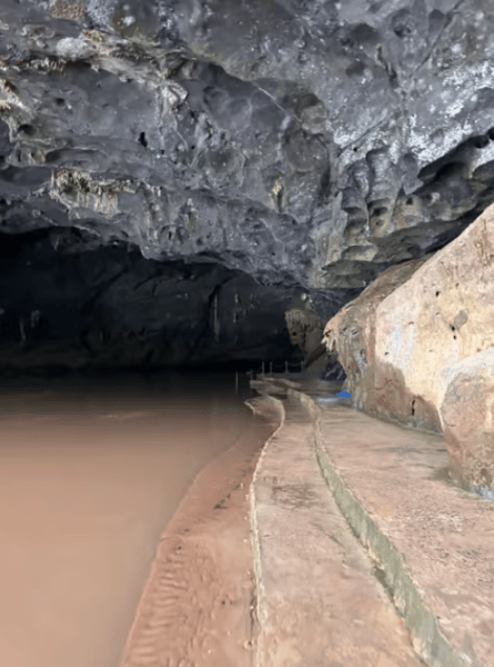 Phong Nha/Dong Hoi: Phong Nha Cave and Paradise Cave Tour | ®ExcursionMania