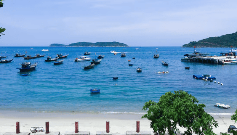 Da Nang/Hoi An: Cham Islands Snorkeling by High-Speed Boat | ®ExcursionMania - Image 3