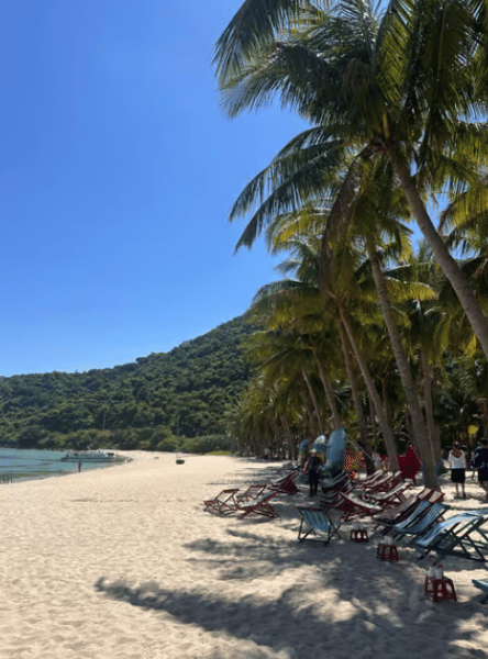 Da Nang/Hoi An: Cham Islands Snorkeling by High-Speed Boat | ®ExcursionMania