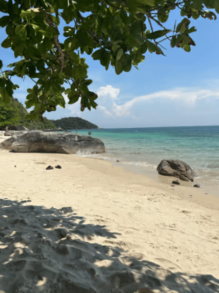 Da Nang/Hoi An: Cham Islands Snorkeling by High-Speed Boat | ®ExcursionMania