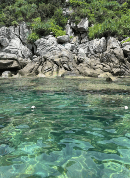 Da Nang/Hoi An: Cham Islands Snorkeling by High-Speed Boat | ®ExcursionMania