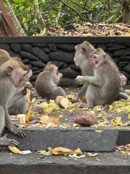 Full-Day Ayung River White Water Rafting and Ubud Tour | ®ExcursionMania - Image 1