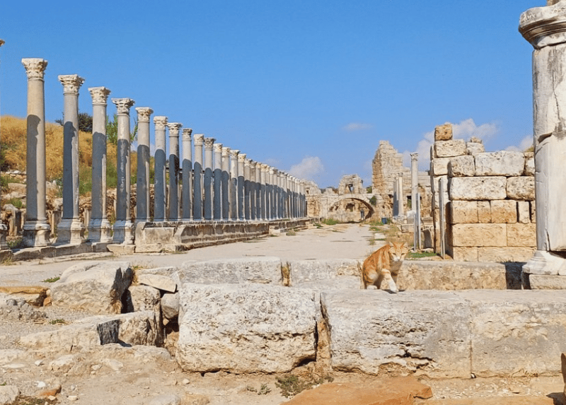 From Antalya: Perge & Aspendos Heritage Tour | ®ExcursionMania - Image 4