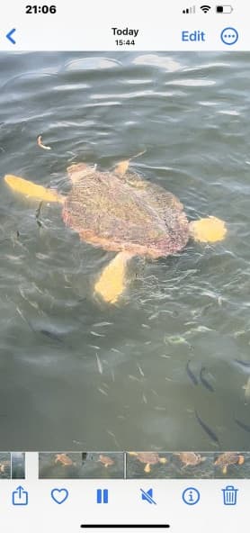 Turunc Dalyan Tour With Turte Beach & Mud Baths | ®ExcursionMania - Image 1