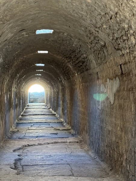 From Izmir: Pergamon Tour with Hotel Transfer & Lunch | ®ExcursionMania - Image 3