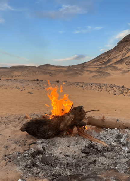 Cairo: 2-Day Bahariya & White Desert Private Camp Adventure | ®ExcursionMania - Image 2