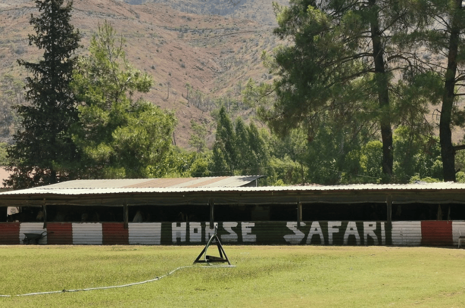 Turunc Horse Safari With Free Hotel Pickup Service | ®ExcursionMania - Image 2