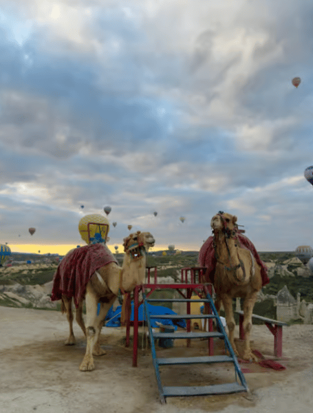 Cappadocia: Sunrise Balloon Watching Tour | ®ExcursionMania