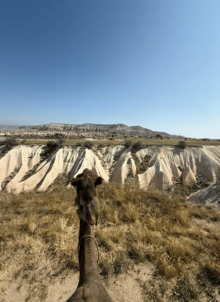Cappadocia Camel Safari Tour | ®ExcursionMania - Image 1