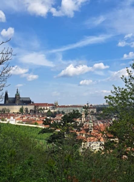 Private Scenic Evening Walking Tour In Prague | ®ExcursionMania - Image 1