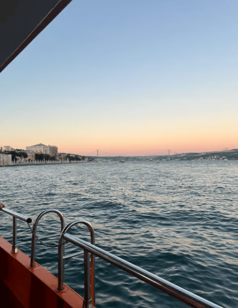 Istanbul: Bosphorus Cruise with Dinner Show | ®ExcursionMania - Image 4