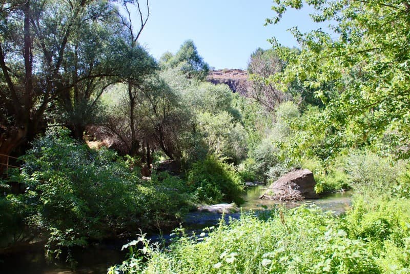 Red Tour Plus: Explore Göreme Museum & the Heart of Cappadocia | ®ExcursionMania - Image 1