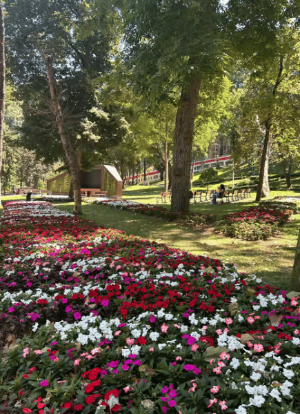 Istanbul: Topkapi Palace & Harem Museum Ticket & Audio Guide | ®ExcursionMania - Image 3