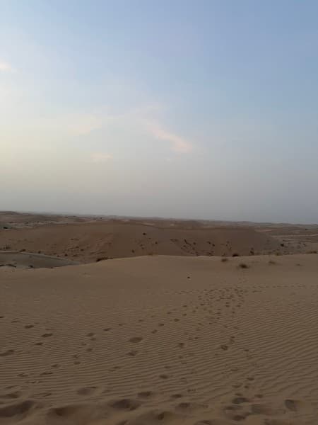 Abu Dhabi Desert Safari With Camel Ride BBQ Dinner & Live Shows | ®ExcursionMania - Image 1