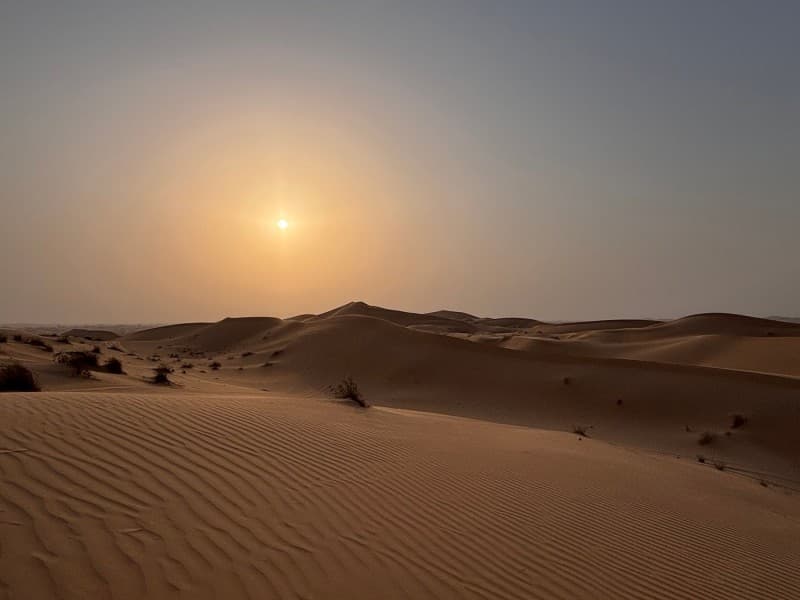 Abu Dhabi Desert Safari With Camel Ride BBQ Dinner & Live Shows | ®ExcursionMania - Image 2