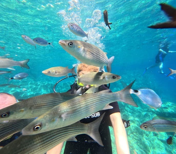 Marmaris Scuba Diving Experience, 2 Dives and Enjoyable Lunch | ®ExcursionMania - Image 1