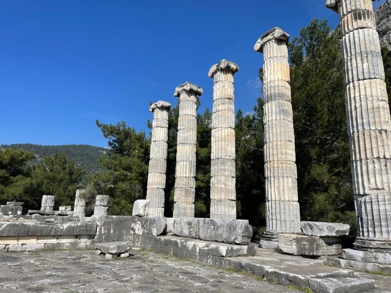 Izmir: The Ultimate Priene Miletus & Didyma Experience | ®ExcursionMania - Image 2