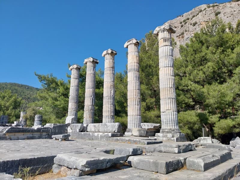 Izmir: The Ultimate Priene Miletus & Didyma Experience | ®ExcursionMania - Image 4