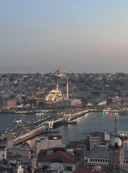 Istanbul: Galata Tower Entry Ticket with Audio Guide App | ®ExcursionMania - Image 1
