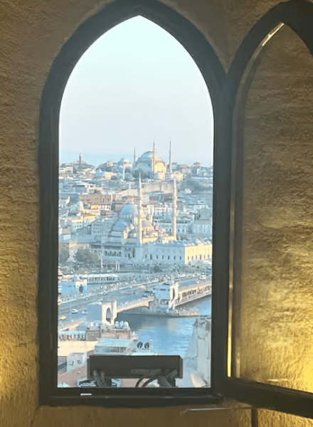 Istanbul: Galata Tower Entry Ticket with Audio Guide App | ®ExcursionMania