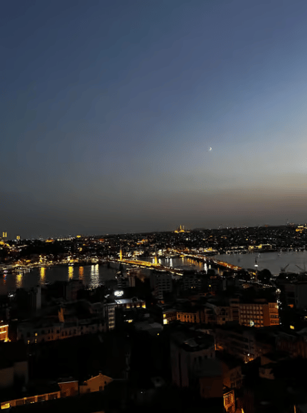 Istanbul: Galata Tower Entry Ticket with Audio Guide App | ®ExcursionMania