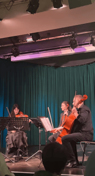 Viennese Classical Masters - Concert at Haus der Musik | ®ExcursionMania - Image 3