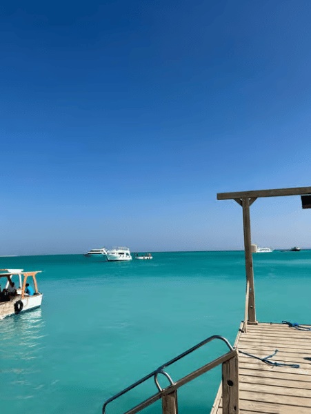 Hurghada: Giftun Island Orange Bay Speedboat Cruise & Lunch | ®ExcursionMania - Image 4