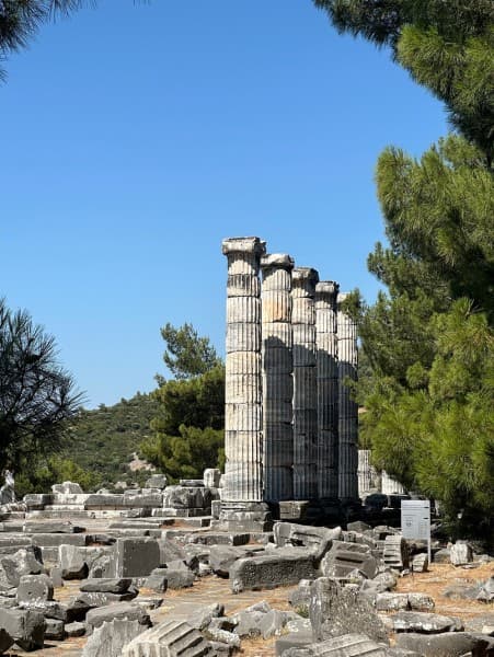 From Kusadasi: Priene Miletos Didyma Tour | ®ExcursionMania - Image 2