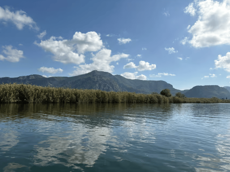 Sarigerme: Dalyan Turtle Beach Mud Bath & King Tombs Tour | ®ExcursionMania - Image 3