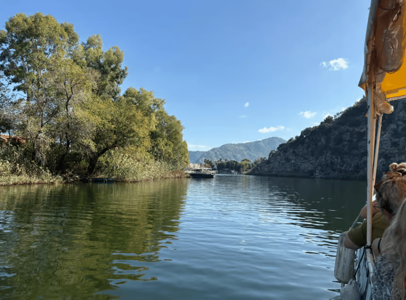 Sarigerme: Dalyan Turtle Beach Mud Bath & King Tombs Tour | ®ExcursionMania - Image 4
