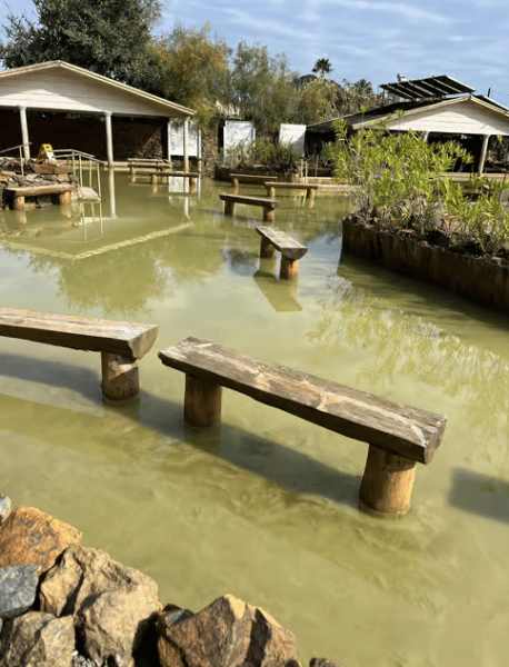 Sarigerme: Dalyan Turtle Beach Mud Bath & King Tombs Tour | ®ExcursionMania