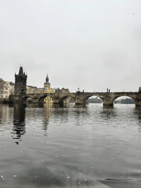 Prague: 50-Minute Sightseeing Evening Cruise | ®ExcursionMania - Image 4