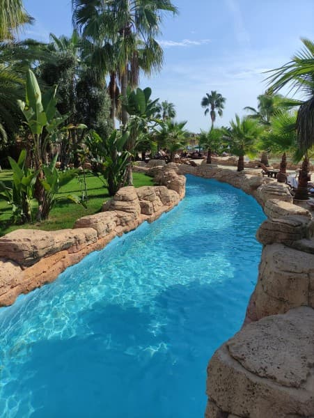 Alanya: Dolphin Show & Swimming with Dolphins Tour | ®ExcursionMania - Image 1