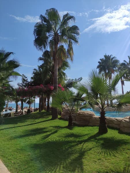 Alanya: Dolphin Show & Swimming with Dolphins Tour | ®ExcursionMania - Image 2