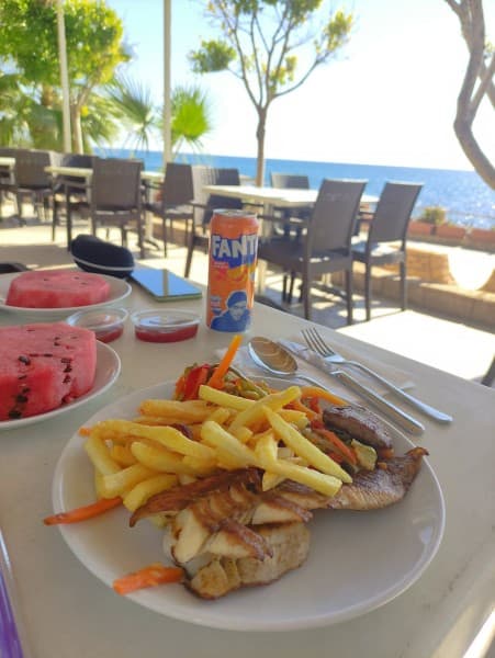 Alanya: Dolphin Show & Swimming with Dolphins Tour | ®ExcursionMania - Image 3