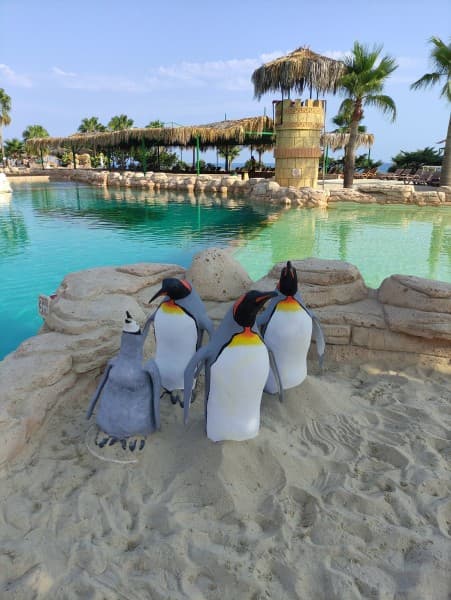 Alanya: Dolphin Show & Swimming with Dolphins Tour | ®ExcursionMania - Image 4