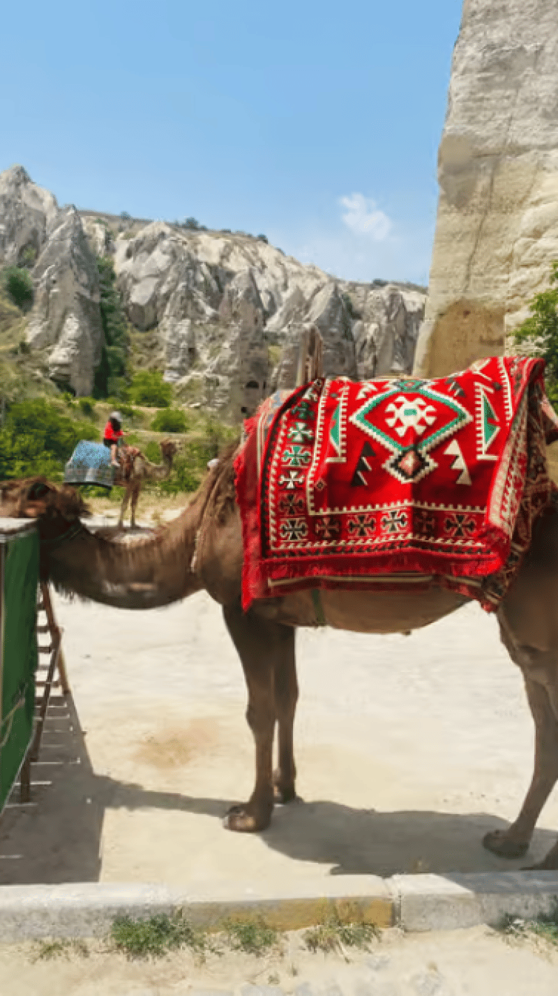 Magical Cappadocia & Vibrant Istanbul: A 4-Day Getaway | ®ExcursionMania - Image 2