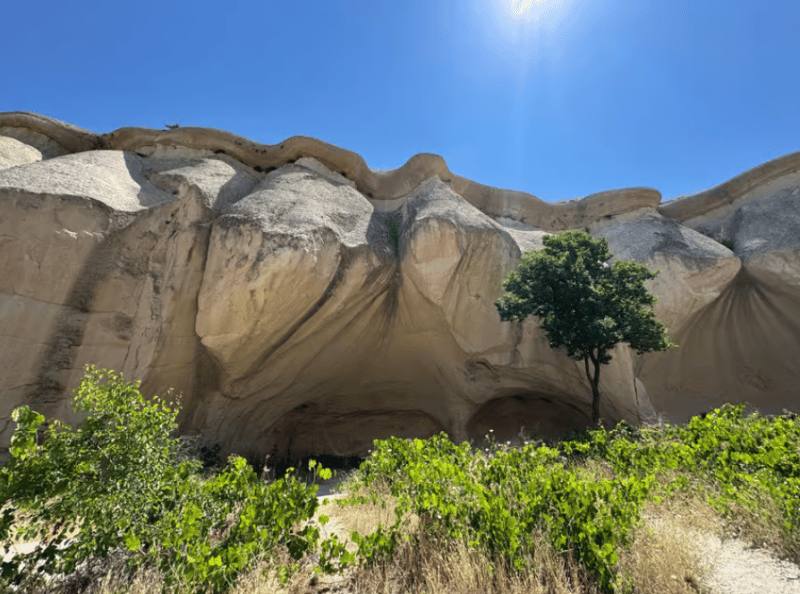 From Istanbul: Cappadocia Day Trip with Flights | ®ExcursionMania - Image 3