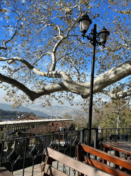 Bursa Uludağ Mountain Tour  Cable Car Ride from Istanbul | ®ExcursionMania