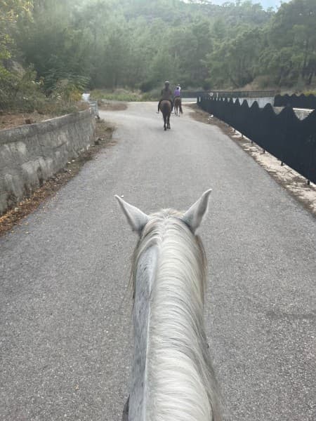 Kemer Horseback Adventure: Ride Through Natures Charm | ®ExcursionMania - Image 2