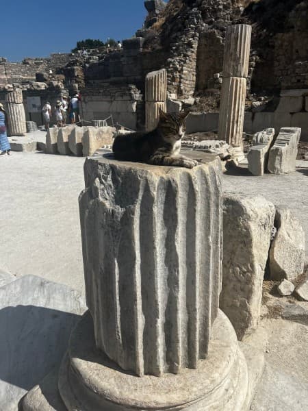 Icmeler: Ephesus Tour w/ Experience Museum & The Temple of Artemis | ®ExcursionMania