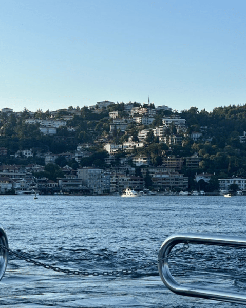 Istanbul: Bosphorus Private Yacht Cruise with Snacks | ®ExcursionMania - Image 3