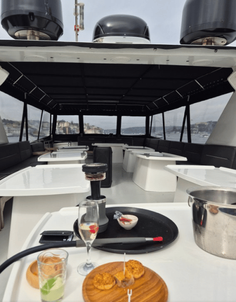 Istanbul: Bosphorus Private Yacht Cruise with Snacks | ®ExcursionMania
