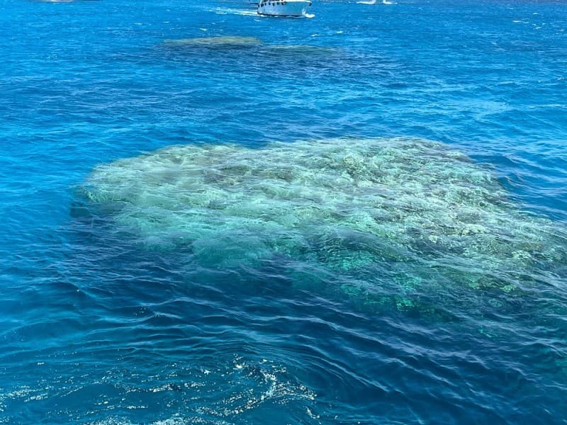 Ras Mohamed & White Island Luxury Yacht Trip Sharm el Sheikh | ®ExcursionMania