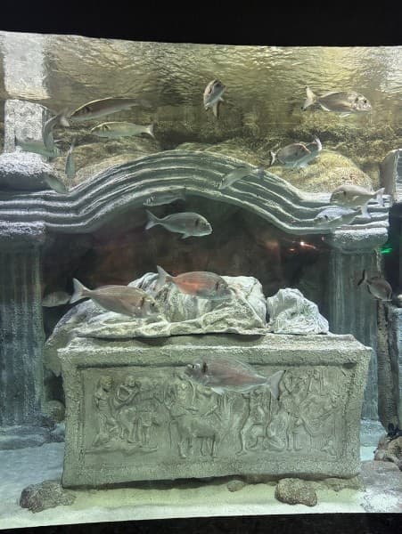 From Kemer: Antalya Aquarium Tour with Hotel Transfer | ®ExcursionMania - Image 2