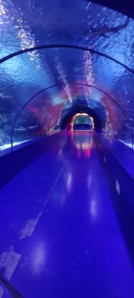 From Kemer: Antalya Aquarium Tour with Hotel Transfer | ®ExcursionMania - Image 3