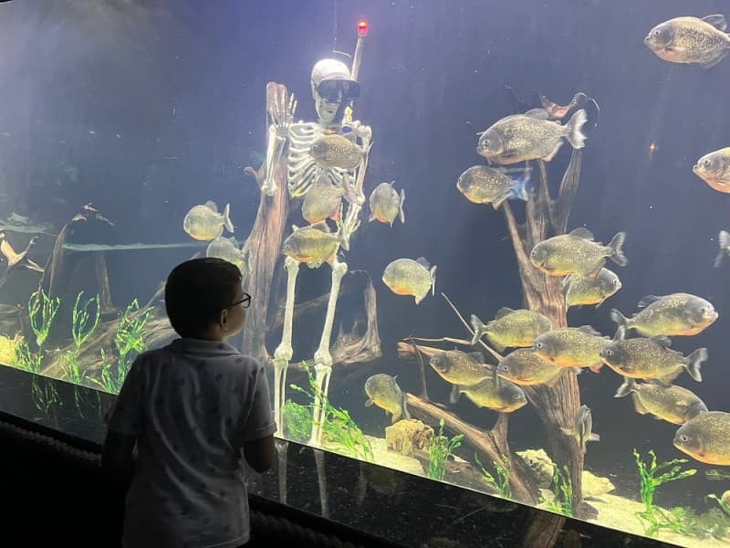 From Kemer: Antalya Aquarium Tour with Hotel Transfer | ®ExcursionMania - Image 1