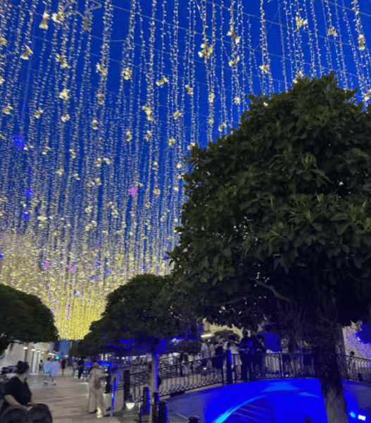 City of Side: Land of Legends Transfer & Boat Parade Show | ®ExcursionMania - Image 2